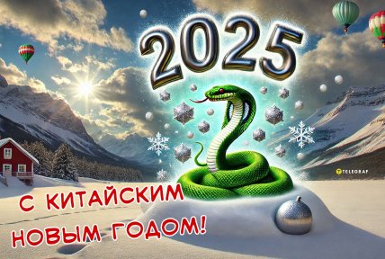 Китайский Новый год 29 января, праздник