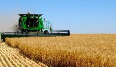 Українські аграрії цього року прогнозують менший урожай. У чому причина